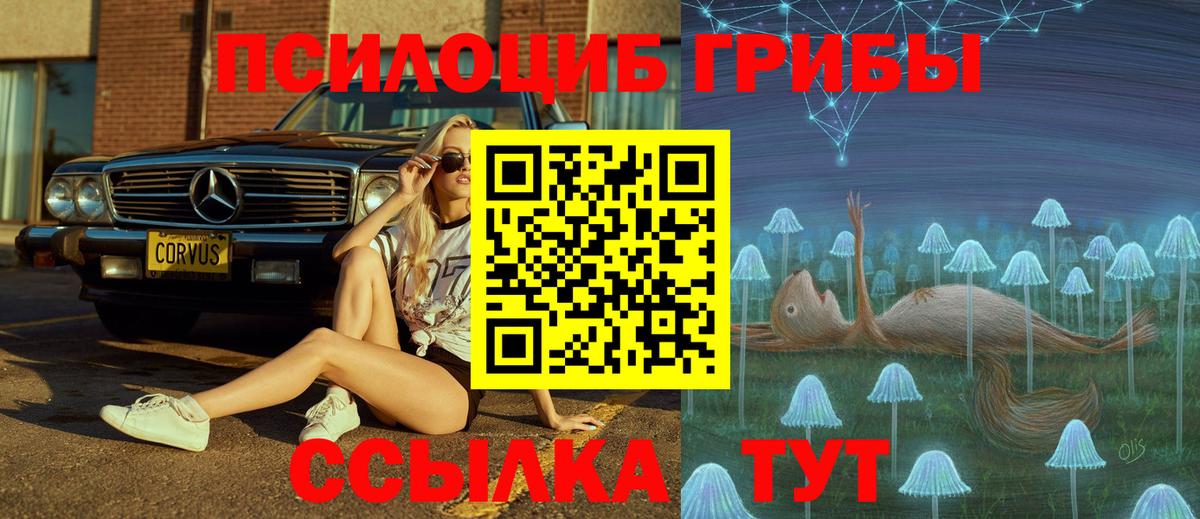 Псилоцибиновые грибы MAGIC MUSHROOMS Альметьевск