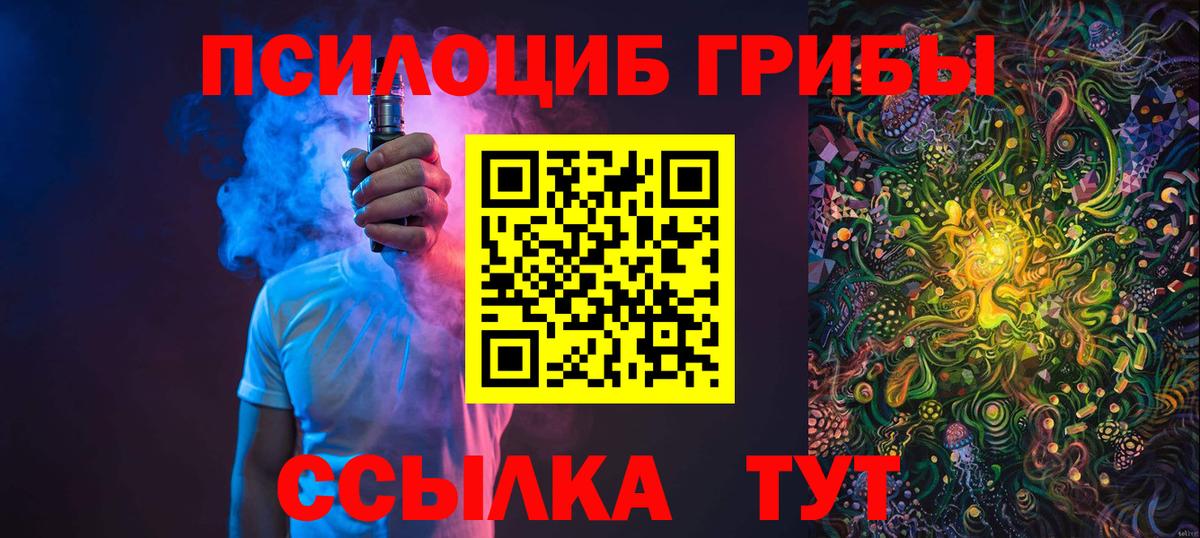 Альметьевск  Псилоцибиновые грибы Psilocybe  Вход с VPN 